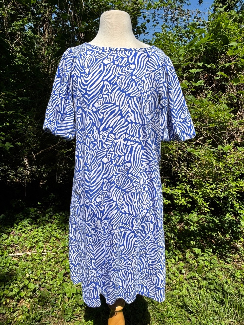 Blue Hidden Zebra Shirt Dress